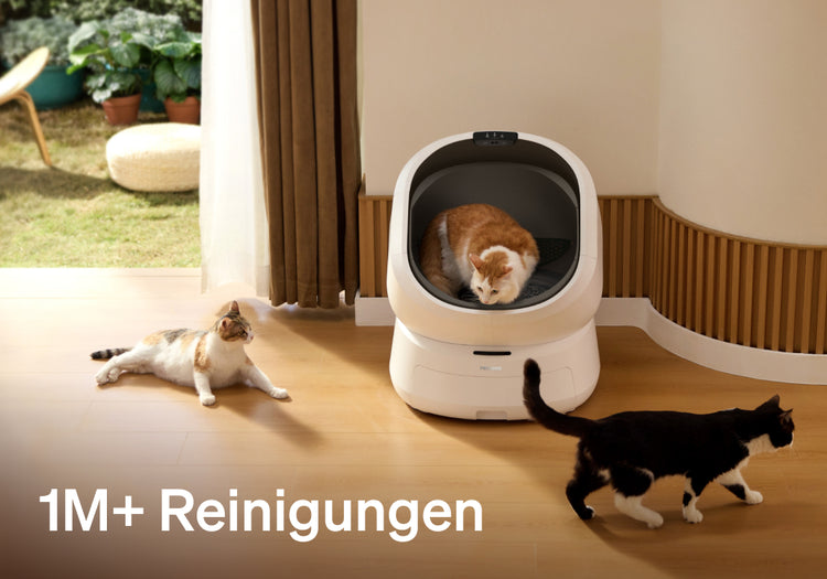 Petlibro PETLIBRO Katzentoilette in Weiß, Katze im Gerät, zwei Katzen im Raum; Haustier-Setup neben Brunnen, Text „1M+ Reinigungen“