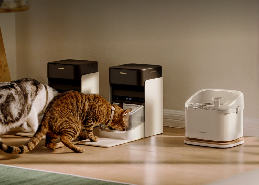 Petlibro PETLIBRO Brunnen und Katzentoilette; zwei Katze am Futterspender, weiß-schwarze Geräte im Wohnraum für Haustierpflege