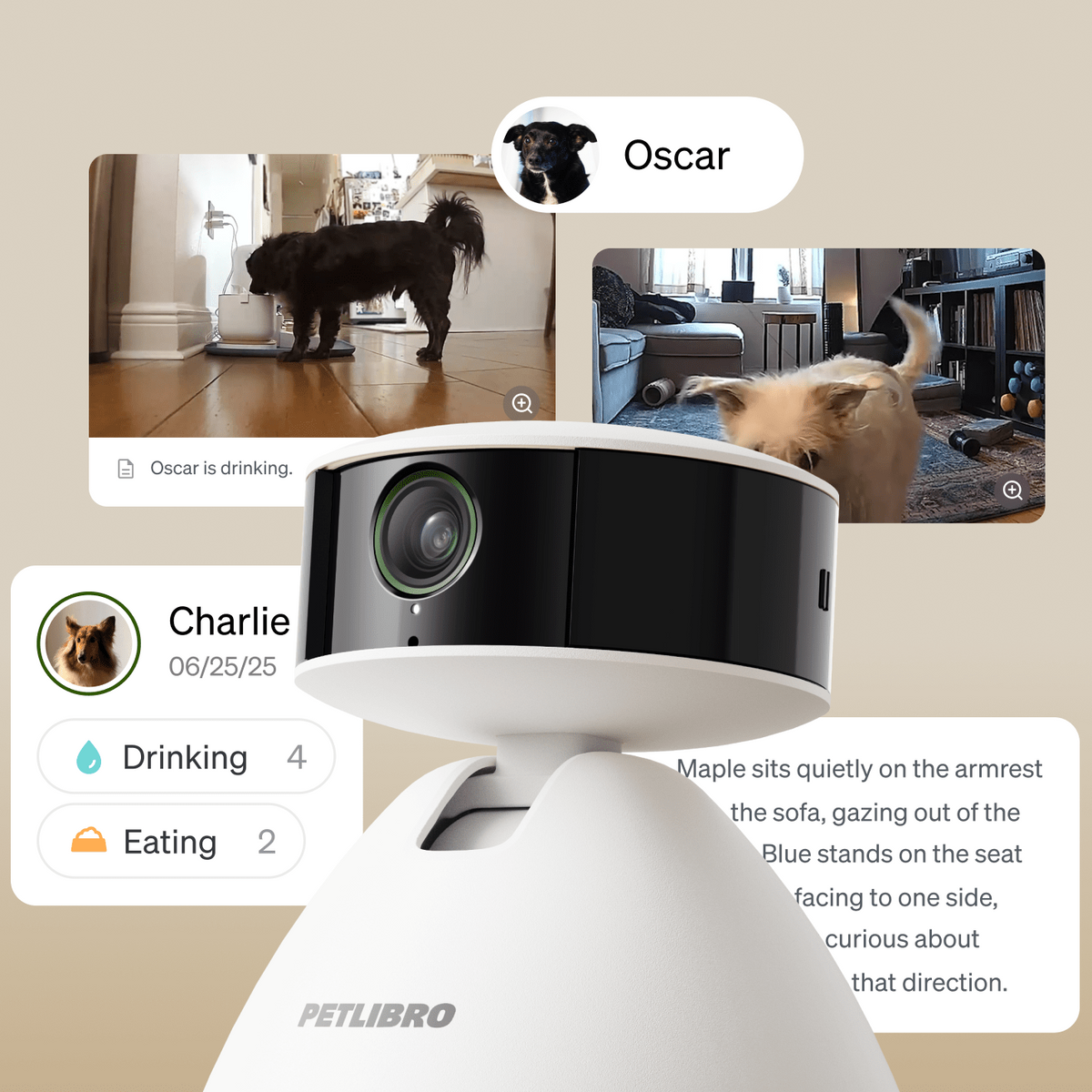 Petlibro PETLIBRO PC001 overview PC 06.1 bb58c3ed 8a2e 4882 b023 4177de02570c Produkt