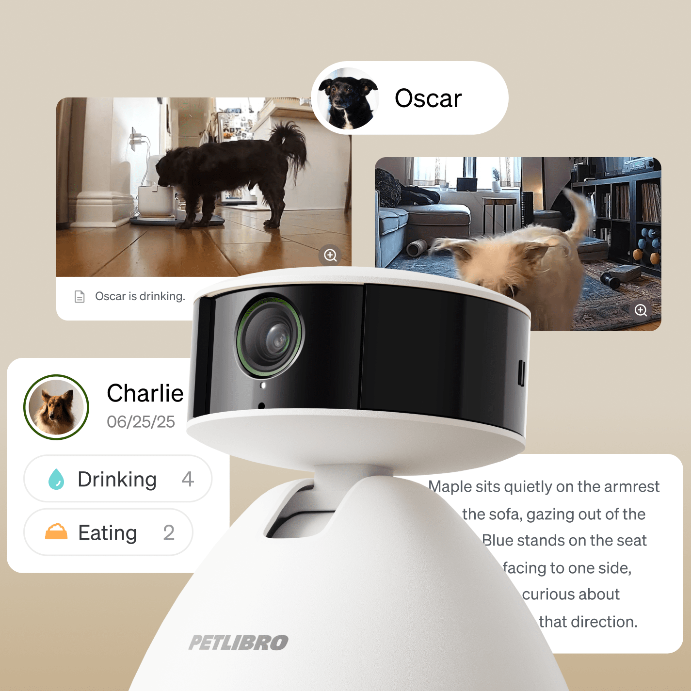 Petlibro PETLIBRO PC001 overview PC 06.1 bb58c3ed 8a2e 4882 b023 4177de02570c Produkt
