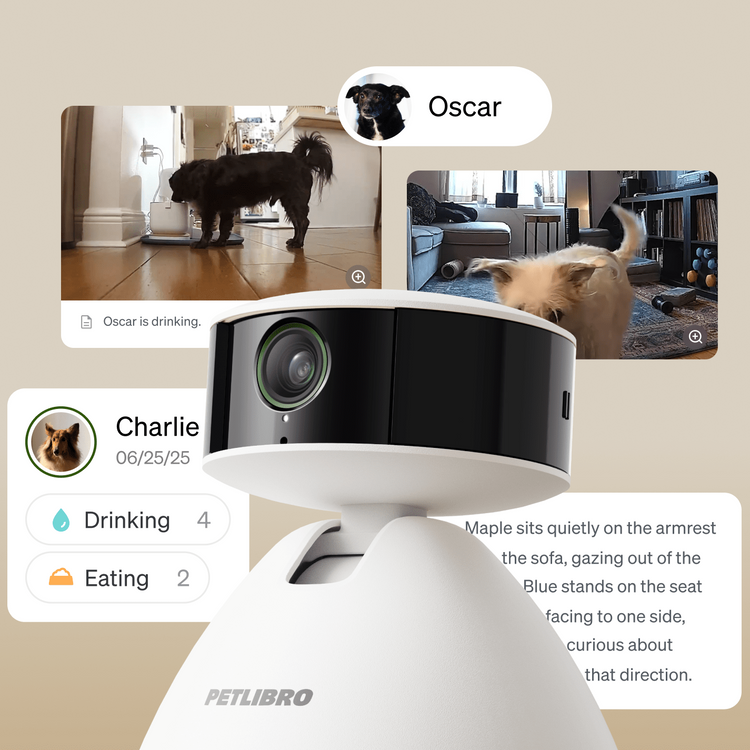 Petlibro PETLIBRO PC001 overview PC 06.1 bb58c3ed 8a2e 4882 b023 4177de02570c Produkt