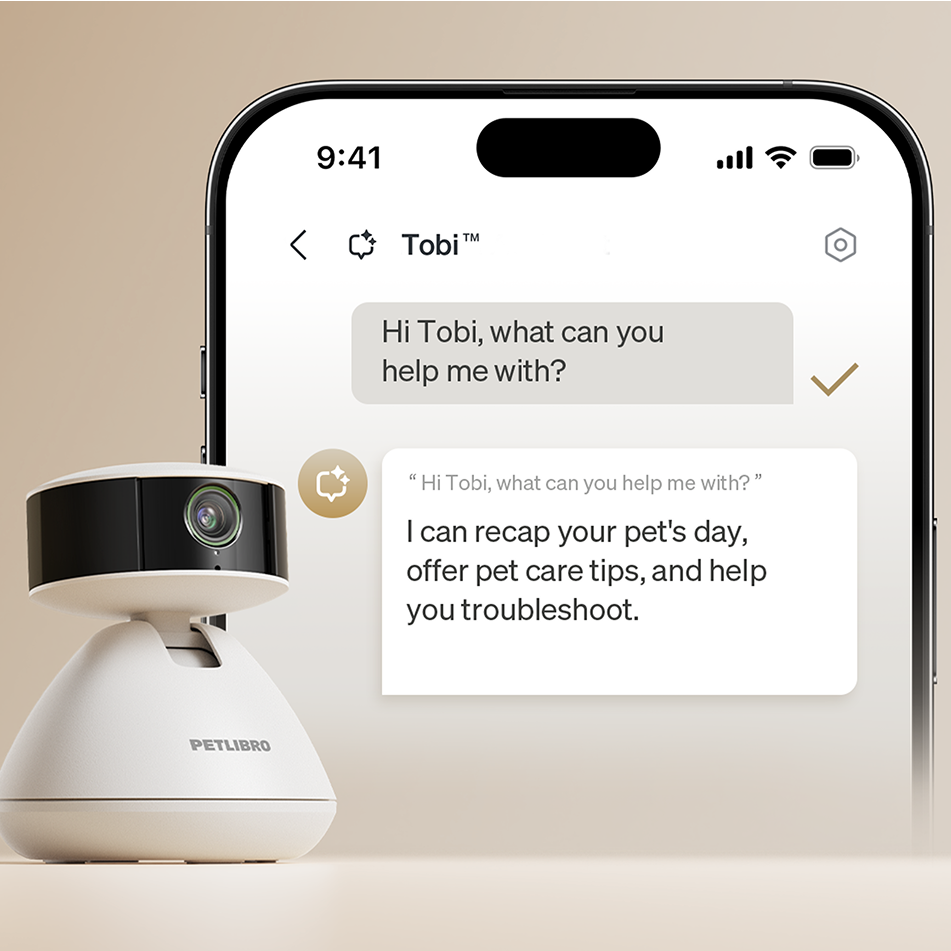 Petlibro PETLIBRO Haustier-Kamera vor Smartphone-App; Brunnen, Katze, Katzentoilette, automatischer Futterspender erwähnt
