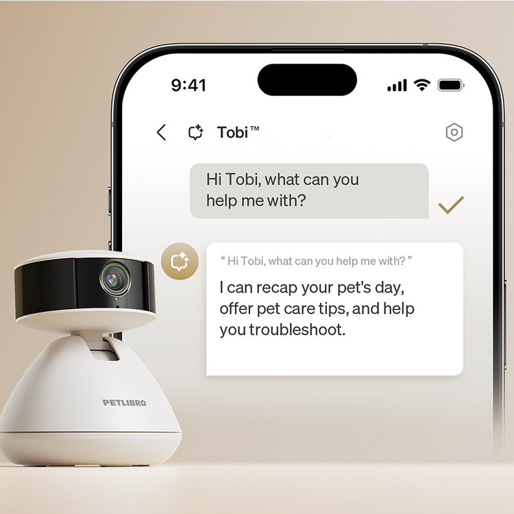 Petlibro PETLIBRO Haustier-Kamera vor Smartphone-App; Brunnen, Katze, Katzentoilette, automatischer Futterspender erwähnt