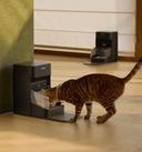 Petlibro automatischer schwarzer Katzenfutterspender mit transparentem Napf, Katze frisst in hellem Wohnraum