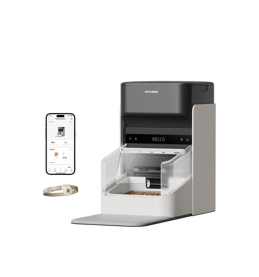 One RFID Futterautomat mit Halsband