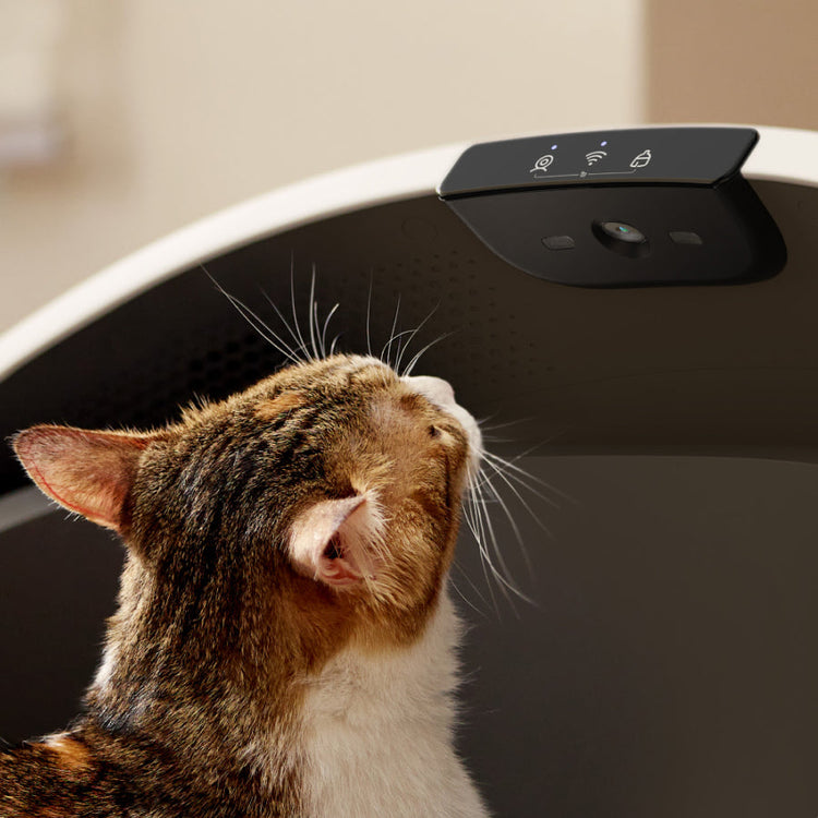 Petlibro PETLIBRO PDP LB001 Overview Mob 05 V2 e53f182e 4689 408c 9767 581ac154788b product