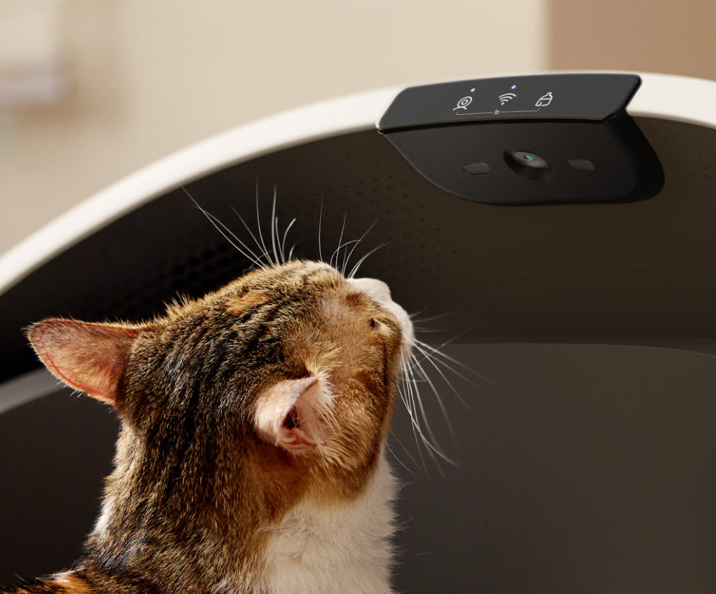 Petlibro PETLIBRO PDP LB001 Overview PC 05 V2 cf647f71 4e01 4fcf aee2 2210aadb114c product