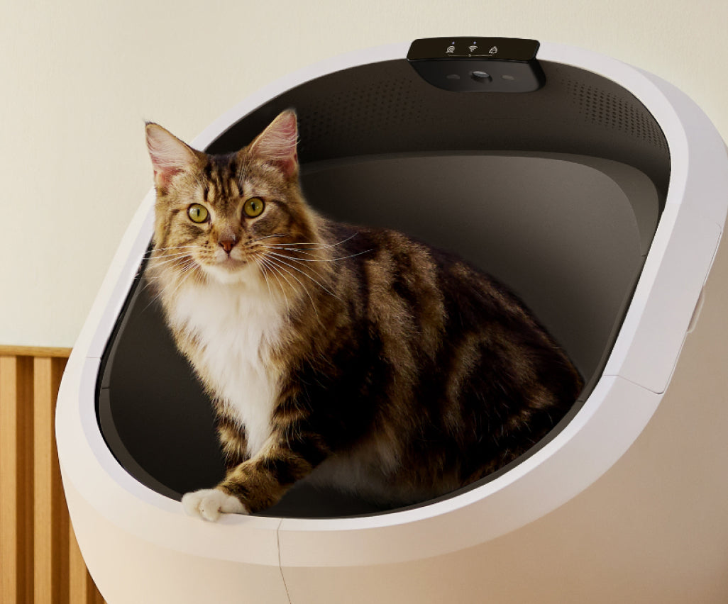 Petlibro PETLIBRO PDP LB001 Overview PC 06 V2 16f37048 bb91 4151 a0bd c01474dae44b product