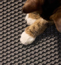 Petlibro PETLIBRO Katze mit Pfoten auf grauer Wabenmatte, Zubehör für Haustier-Katzentoilette; Brunnen und automatischer Futterspender erwähnt