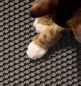 Petlibro PETLIBRO Katze mit Pfoten auf grauer Wabenmatte, Zubehör für Haustier-Katzentoilette; Brunnen und automatischer Futterspender erwähnt