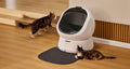 Petlibro PETLIBRO Katzentoilette weiß, Katze am Gerät; Haustier-Setup, Brunnen und automatischer Futterspender erwähnt, Indoor Szene