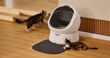 Petlibro PETLIBRO Katzentoilette weiß, Katze am Gerät; Haustier-Setup, Brunnen und automatischer Futterspender erwähnt, Indoor Szene