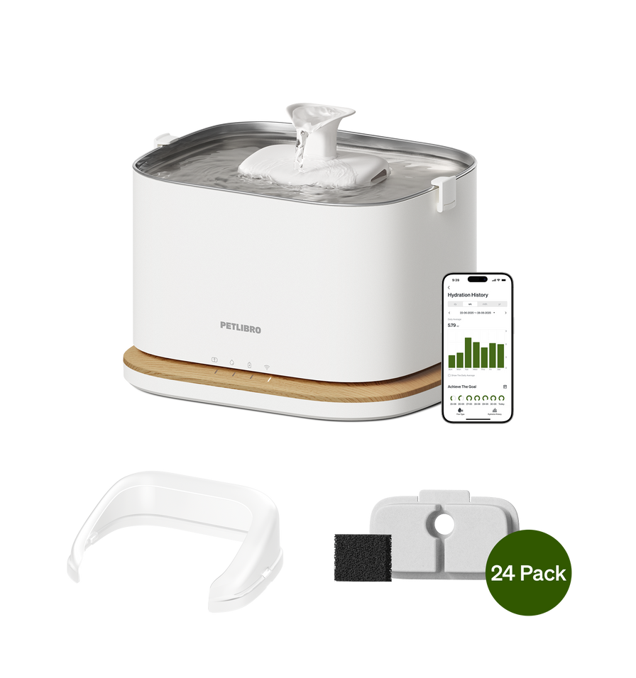 Dockstream 2 Smarter Trinkbrunnen Starterset
