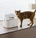 Petlibro PETLIBRO Brunnen: weiße Trinkstation mit Wasserfontäne neben Katze; Haustier-Zubehör, erwähnt Katzentoilette, automatischer Futterspender