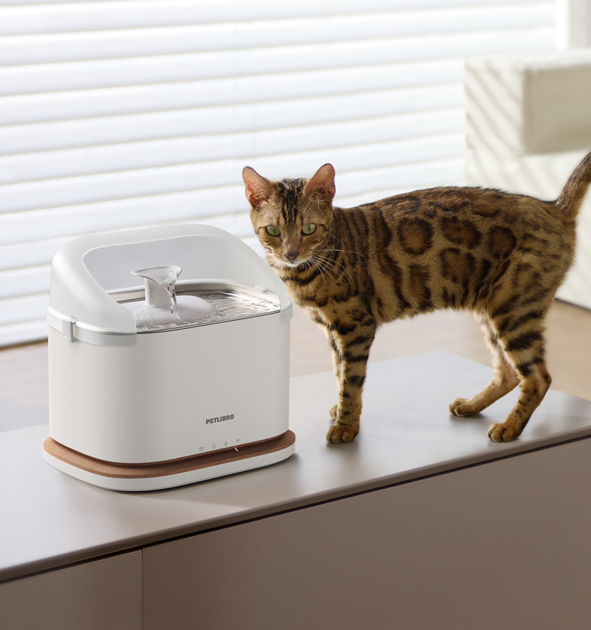 Petlibro PETLIBRO Brunnen: weiße Trinkstation mit Wasserfontäne neben Katze; Haustier-Zubehör, erwähnt Katzentoilette, automatischer Futterspender