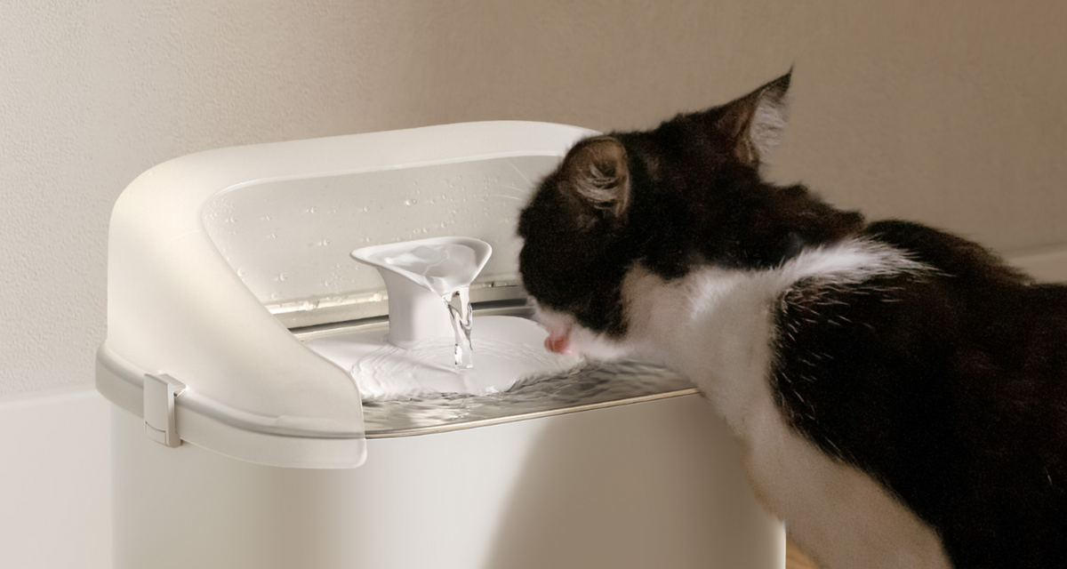 Petlibro PETLIBRO Brunnen: Katze trinkt am weißen Haustier-Wasserbrunnen; neben Katzentoilette und automatischer Futterspender gedacht