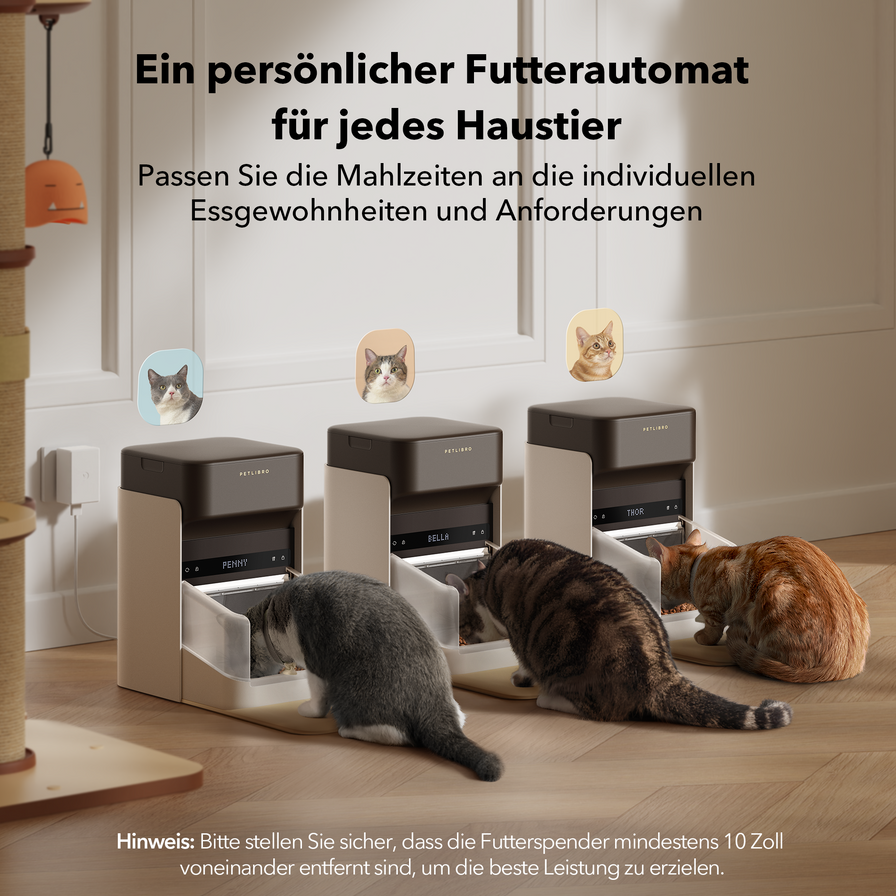 One RFID Futterautomat mit Halsband