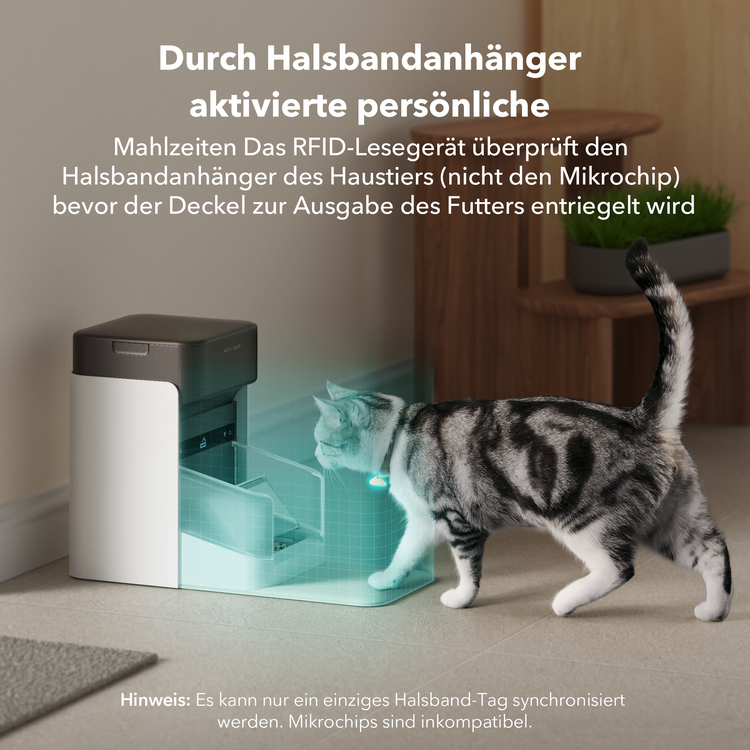 Petlibro PETLIBRO automatischer Futterspender neben Katze im Zuhause; Haustier-Zubehör, Brunnen und Katzentoilette erwähnt