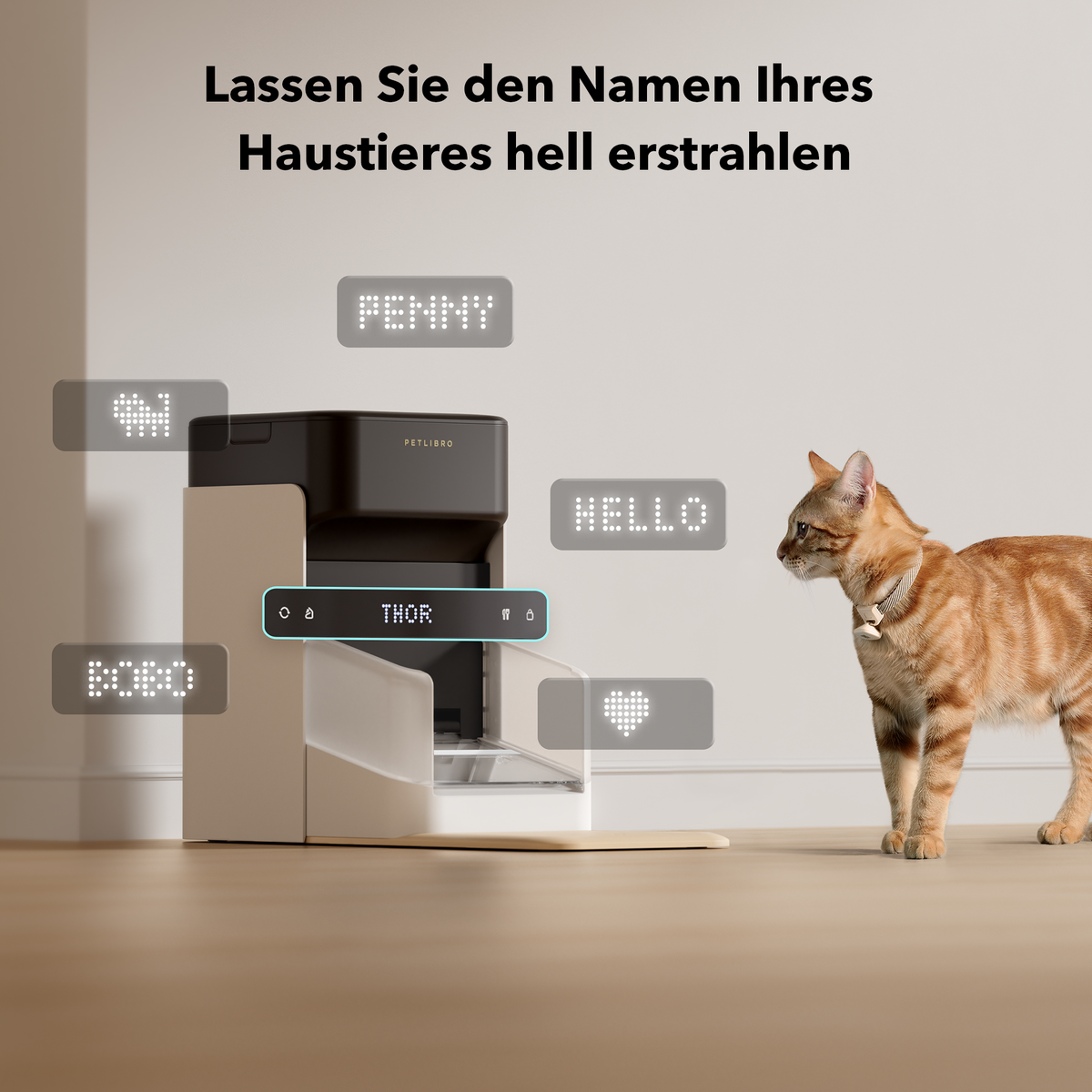 Petlibro PETLIBRO automatischer Futterspender neben Katze; Brunnen und Katzentoilette fürs Haustier, graues Gerät mit Namensanzeige.
