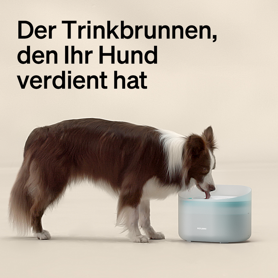 Kapsel Hundetrinkbrunnen (8 Liter)