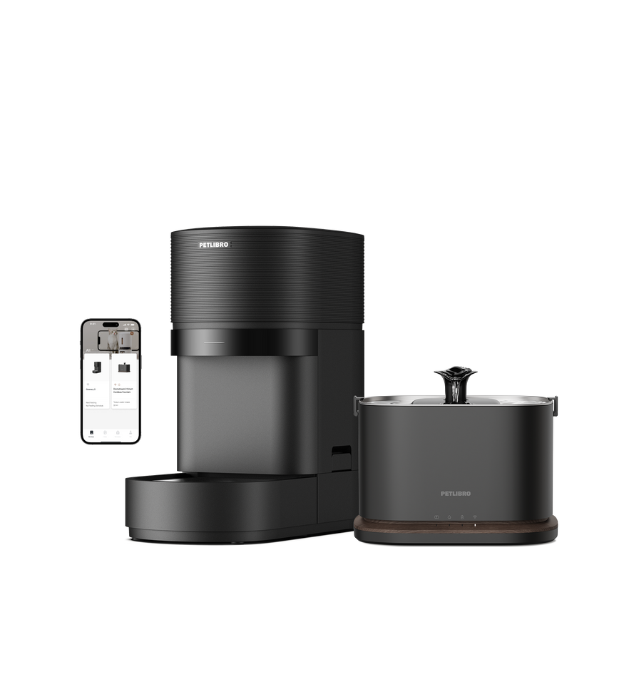 Nassfutterautomat und Kamera-Futterautomat Bundle