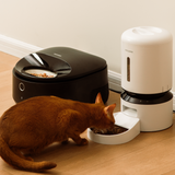 Petlibro PETLIBRO Brunnen, Katzentoilette und automatischer Futterspender; Katze frisst Trockenfutter im Zuhause für Haustierpflege