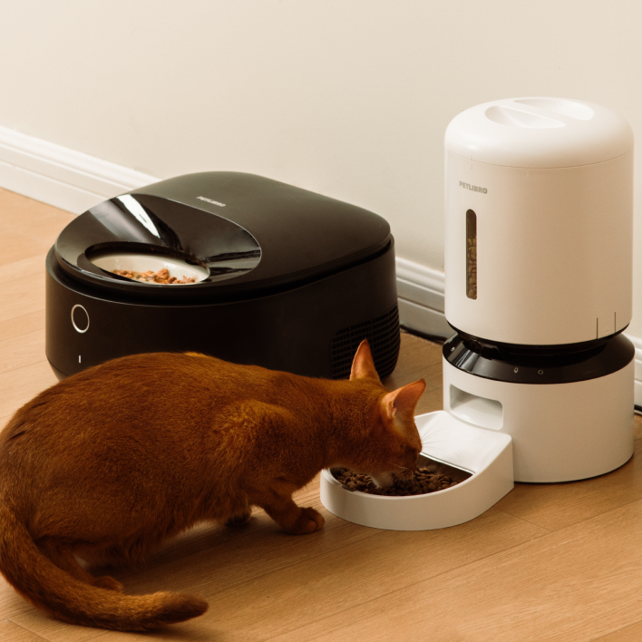 Petlibro PETLIBRO Brunnen, Katzentoilette und automatischer Futterspender; Katze frisst Trockenfutter im Zuhause für Haustierpflege