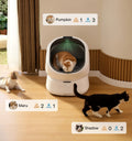 Petlibro PETLIBRO Katzentoilette, weiße automatische Box; Katze drin, zwei Haustier-Katzen davor, Brunnen & automatischer Futterspender Icons angezeigt