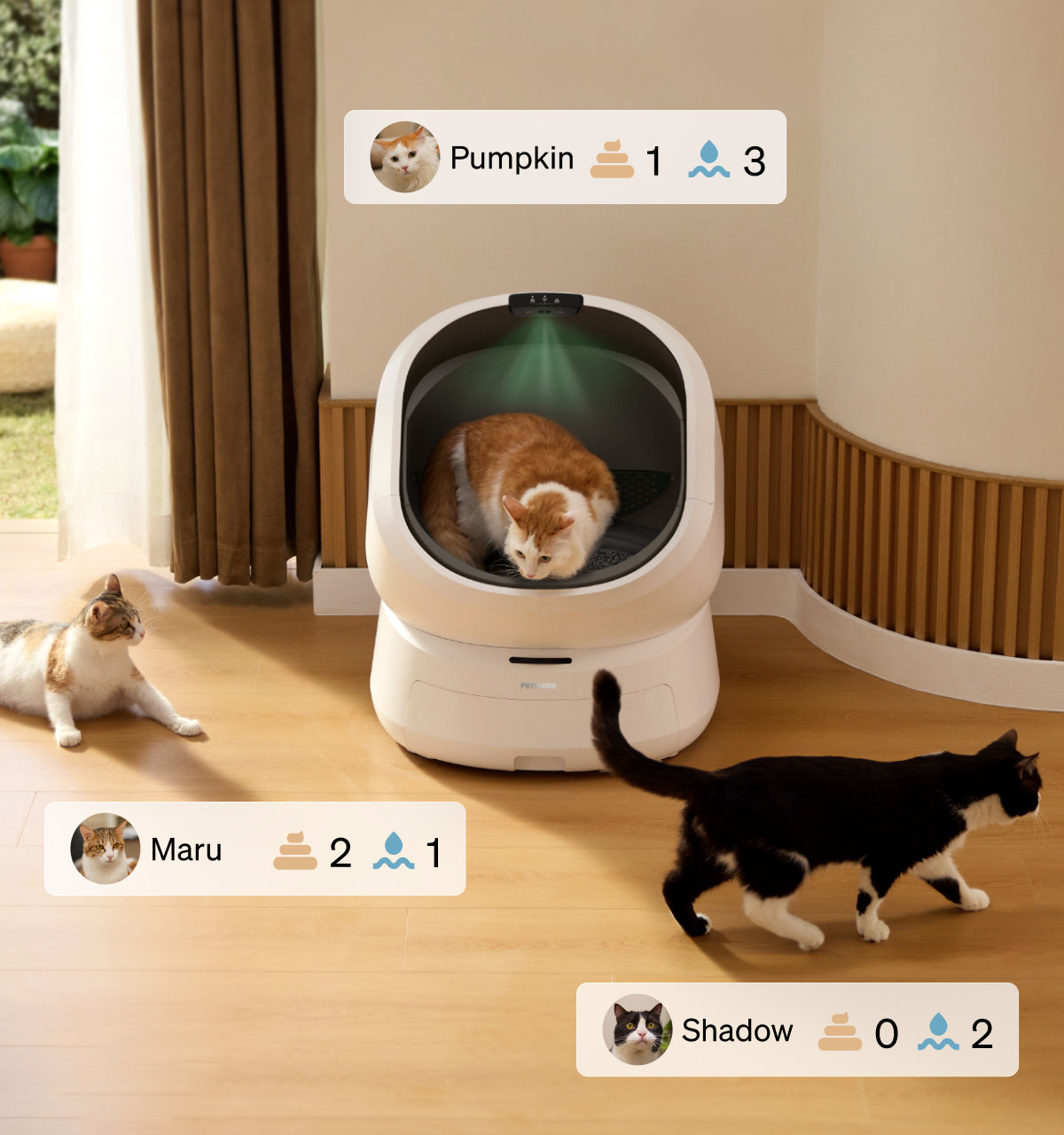 Petlibro PETLIBRO Katzentoilette, weiße automatische Box; Katze drin, zwei Haustier-Katzen davor, Brunnen & automatischer Futterspender Icons angezeigt
