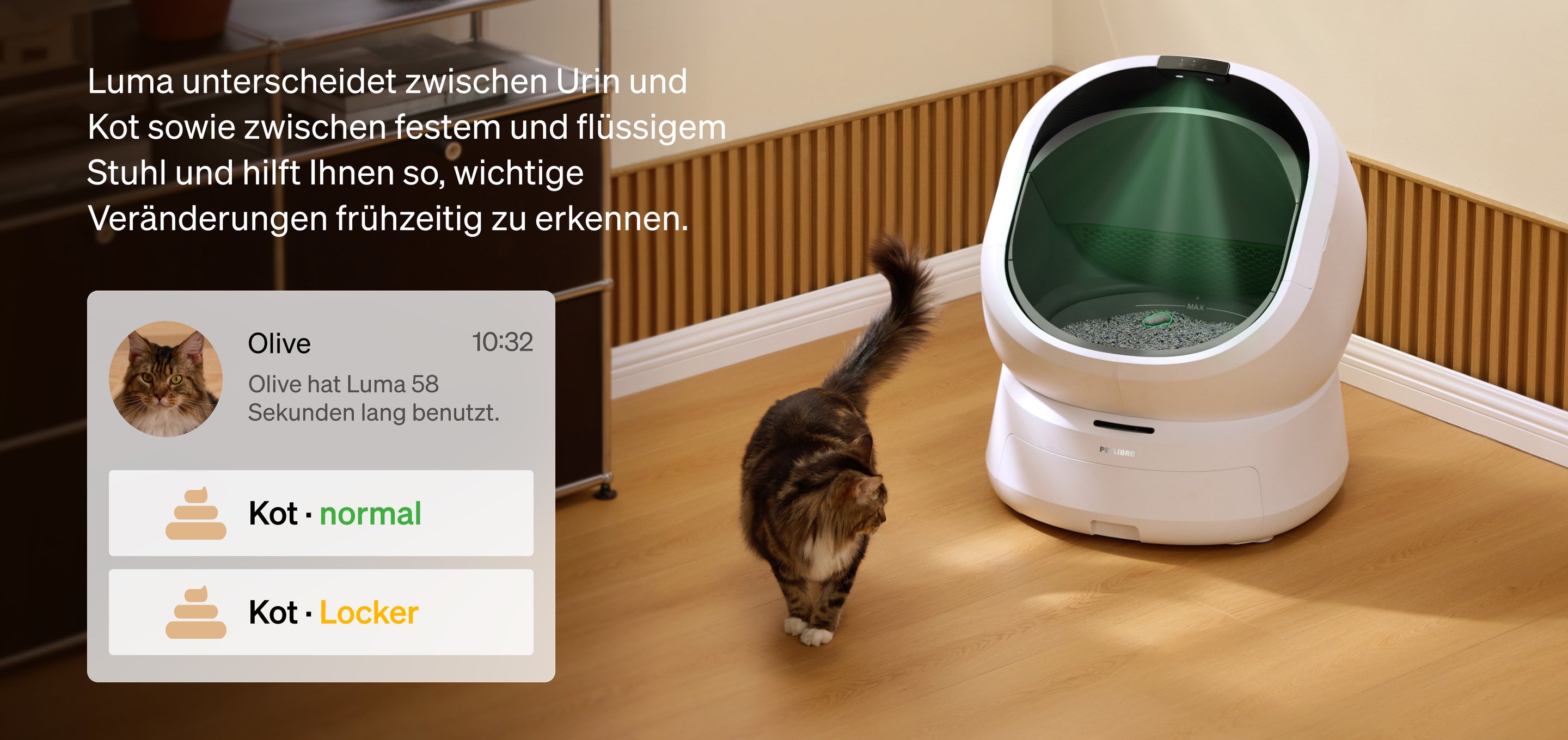 Petlibro PETLIBRO Katzentoilette mit Sensor, Katze im Raum; Brunnen und automatischer Futterspender fürs Haustier erwähnt