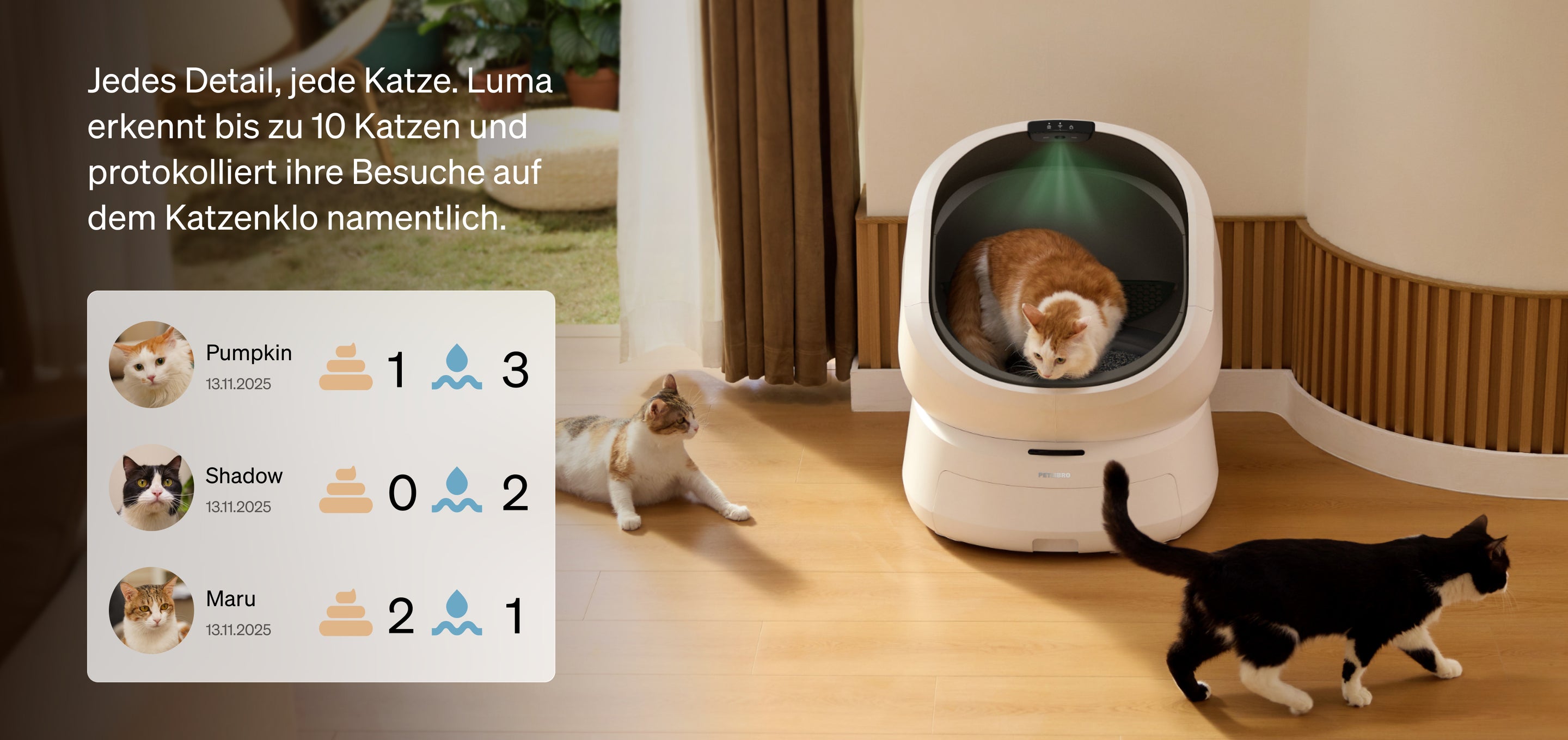 Petlibro PETLIBRO Katzentoilette; Katze im weißen Klo, Haustier daneben; Brunnen und automatischer Futterspender im Smart-Home-Setup