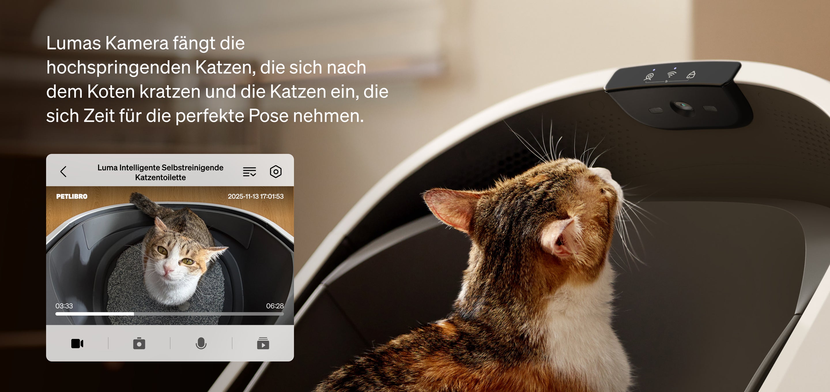 Petlibro PETLIBRO Brunnen, Katze am Rand der Katzentoilette mit Kamera; Haustier-Setup neben automatischer Futterspender-App