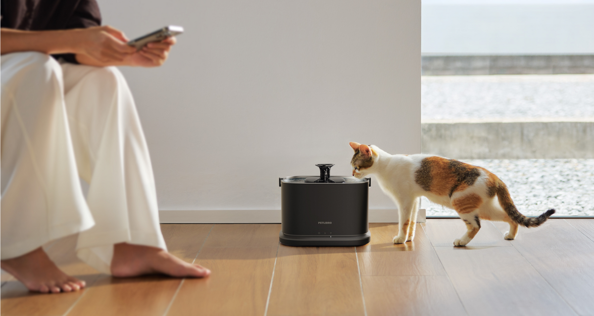 Petlibro PETLIBRO Brunnen: Katze trinkt am schwarzen Haustier-Wasserbrunnen; daneben Hinweis auf Katzentoilette & automatischer Futterspender