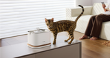 Petlibro PETLIBRO Brunnen: Katze als Haustier neben weißem Trinkbrunnen; Hinweis auf Katzentoilette und automatischer Futterspender