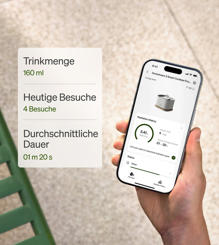 Petlibro PETLIBRO App zeigt Brunnen-Statistik für Katze/Haustier; Smartphone in Hand, Hinweis auf Katzentoilette-Tracking