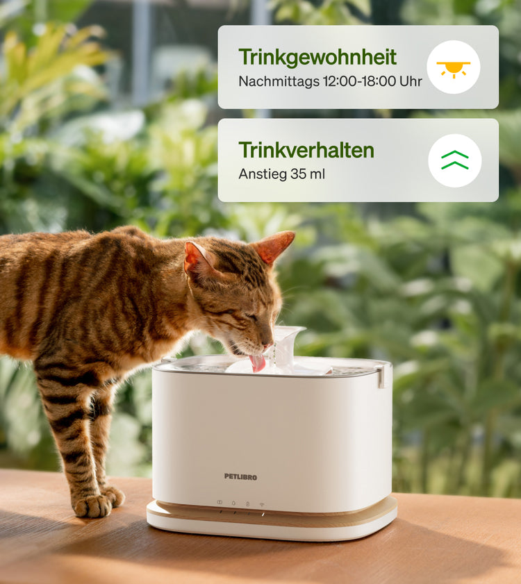 Petlibro PETLIBRO Brunnen: Katze trinkt am weißen Haustier-Wasserbrunnen; Hinweis Trinkverhalten, Katzentoilette erwähnt