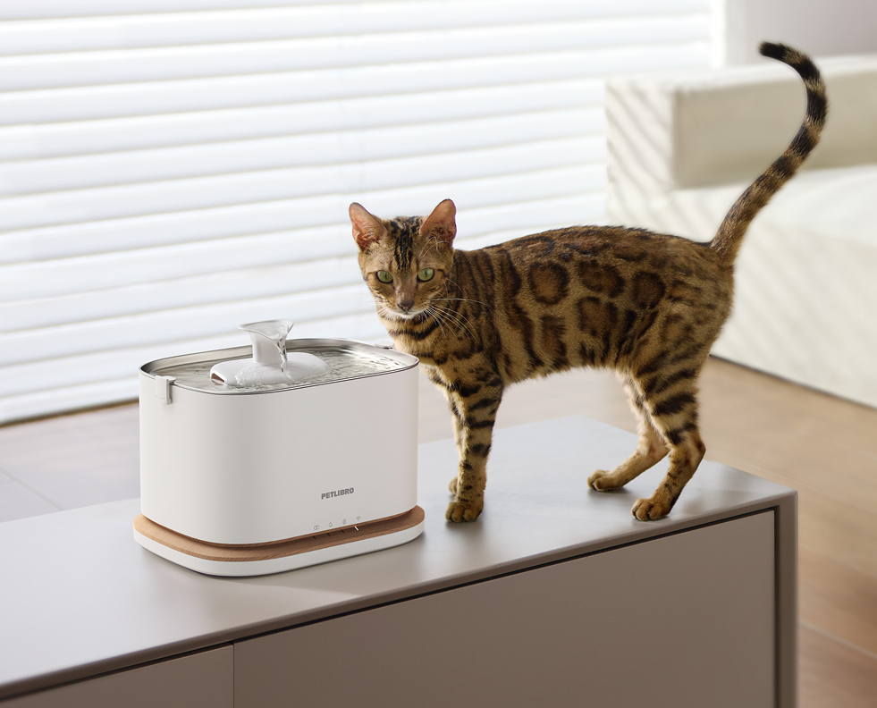 Petlibro PETLIBRO Brunnen neben Katze; Haustier am Trinkbrunnen, erwähnt Katzentoilette und automatischer Futterspender im Set