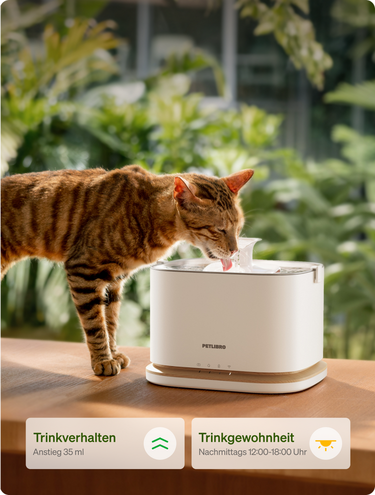 Petlibro PETLIBRO Brunnen: getigerte Katze trinkt am weißen Haustier-Trinkbrunnen; Hinweis auf Katzentoilette und automatischer Futterspender