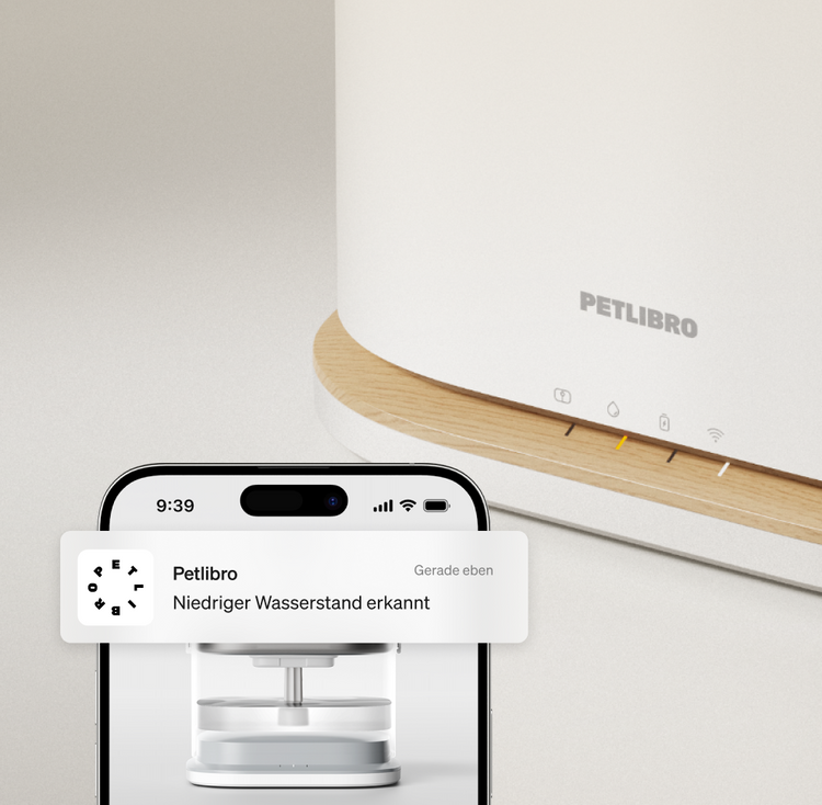Petlibro PETLIBRO Brunnen mit App-Hinweis „Niedriger Wasserstand erkannt“ auf Smartphone; weißes Haustiergerät für Katze, neben Katzentoilette/automatischer Futterspender-Setup