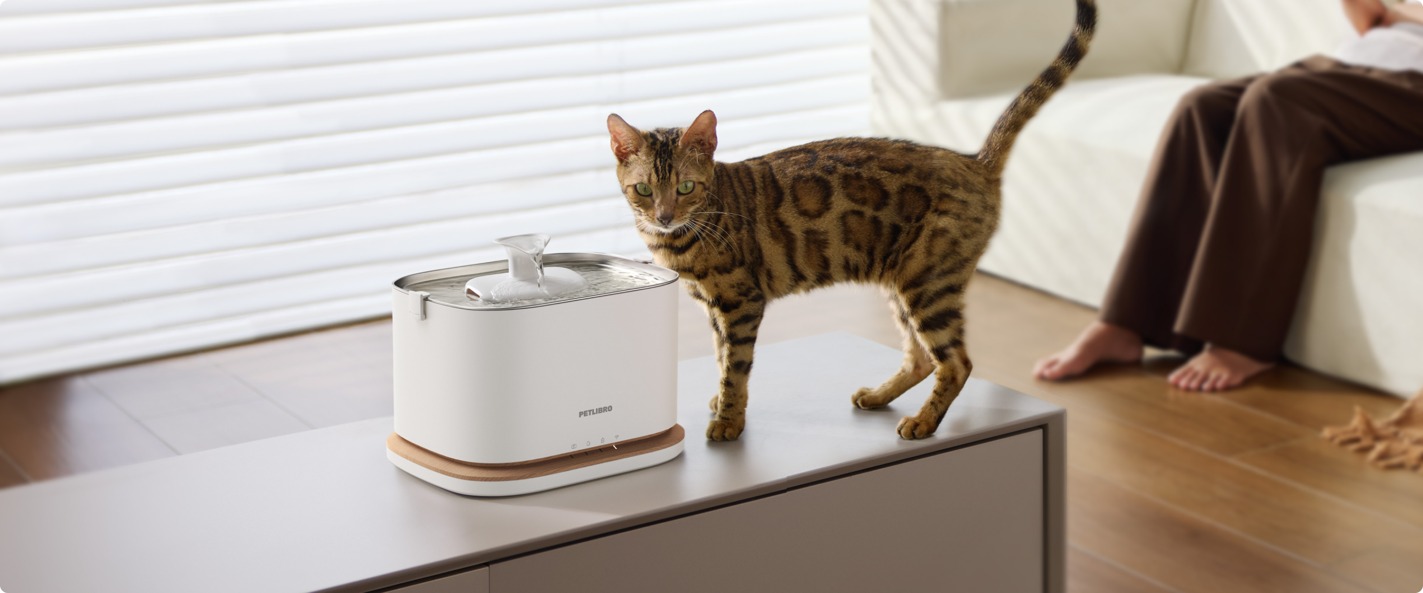 Petlibro PETLIBRO Brunnen: weiße Trinkfontäne für Haustier, Katze steht daneben; Hinweis auf Katzentoilette, automatischer Futterspender