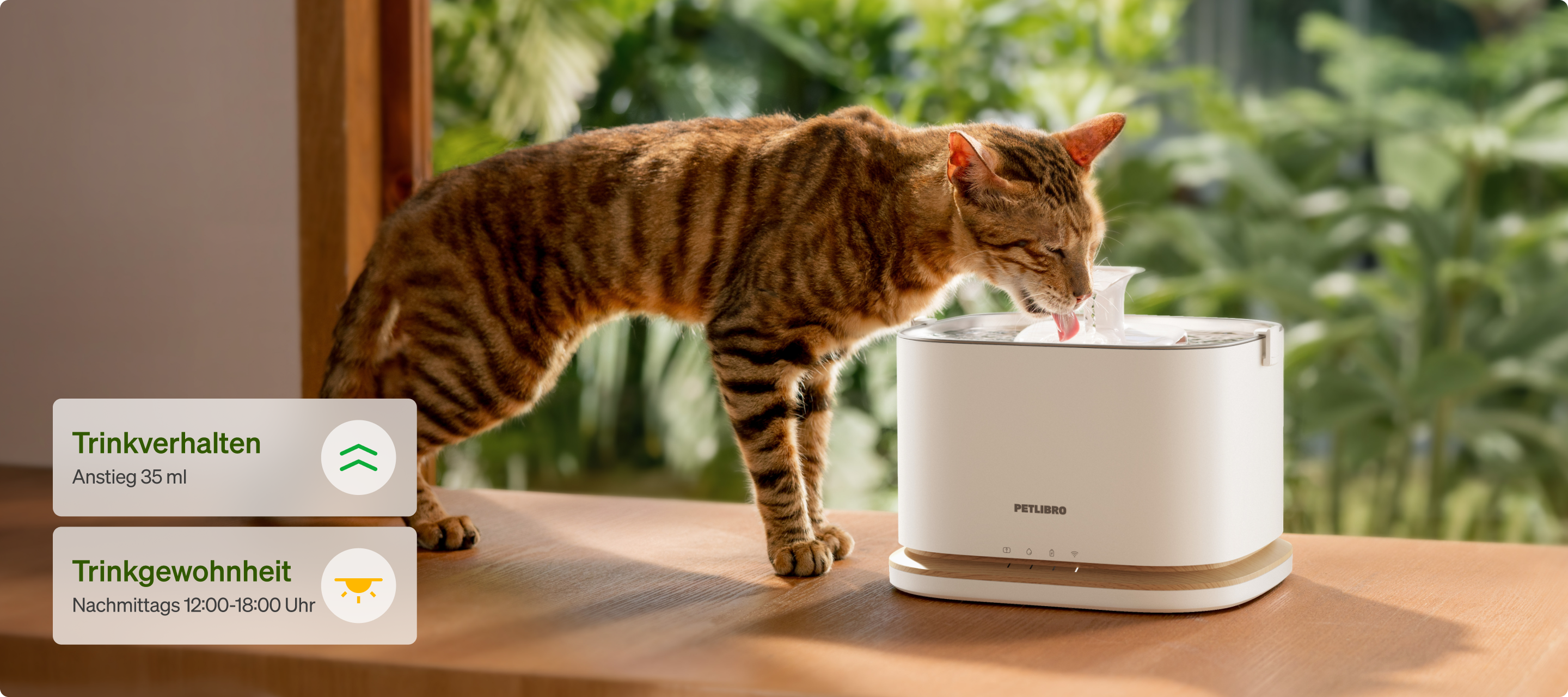 Petlibro PETLIBRO Brunnen: getigerte Katze trinkt am weißen Haustier-Wasserbrunnen; Hinweis auf Katzentoilette & automatischer Futterspender