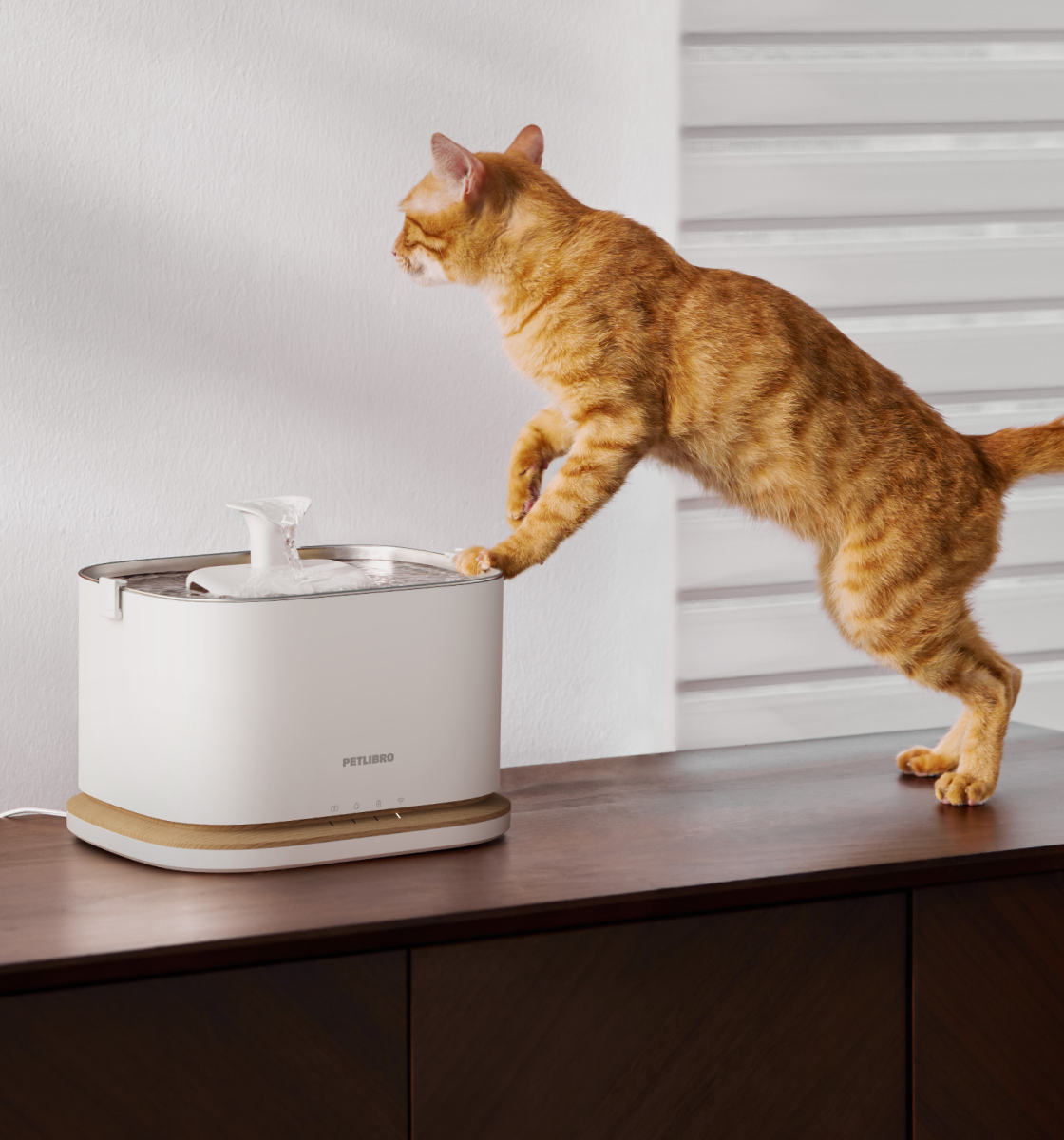 Petlibro PETLIBRO Brunnen: orange Katze trinkt am weißen Haustier-Wasserbrunnen; Keywords Katzentoilette, automatischer Futterspender