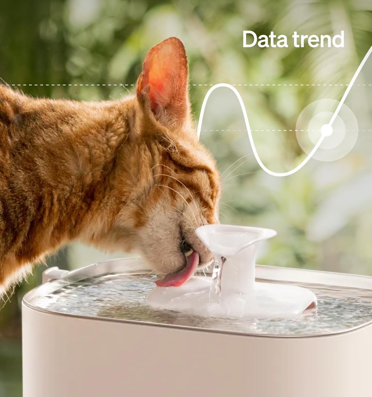 Petlibro PETLIBRO Brunnen: orange Katze trinkt am weißen Haustier-Wasserbrunnen; Hinweis auf Katzentoilette und automatischer Futterspender
