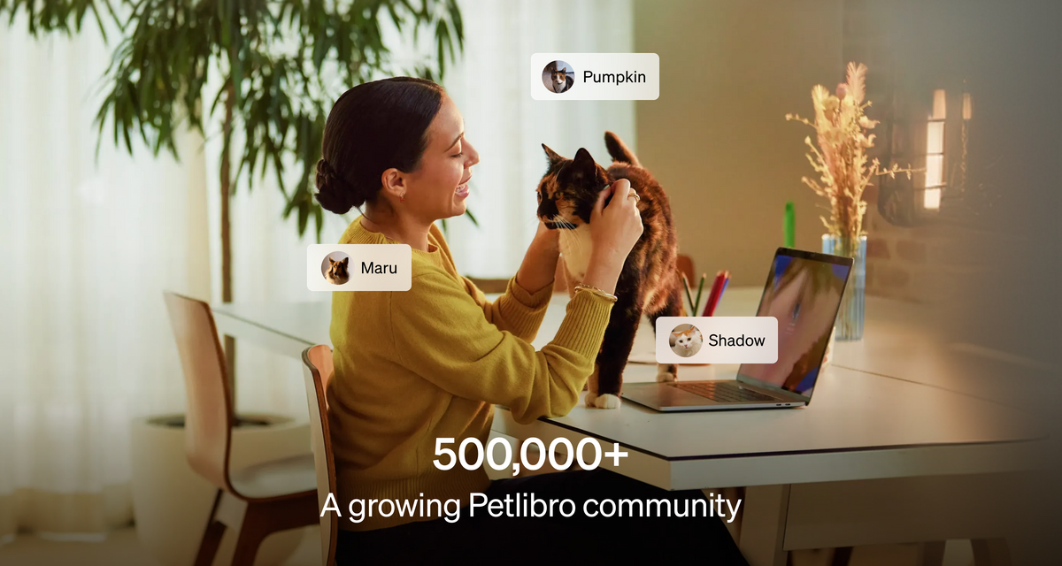Petlibro PETLIBRO Lifestyle: Frau streichelt Katze am Schreibtisch; Brunnen, Katzentoilette, automatischer Futterspender fürs Haustier beworben.
