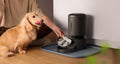 Petlibro PETLIBRO automatischer Futterspender schwarz, Haustier Hund frisst; Brunnen, Katze, Katzentoilette nicht abgebildet