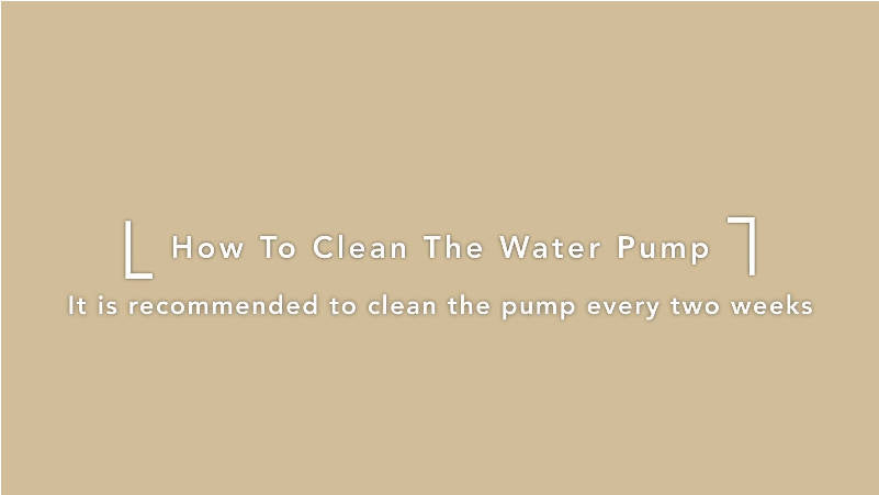Petlibro PETLIBRO Banner: Anleitung Brunnen-Wasserpumpe reinigen; Text auf Beige, für Katze/Haustier, Katzentoilette, automatischer Futterspender
