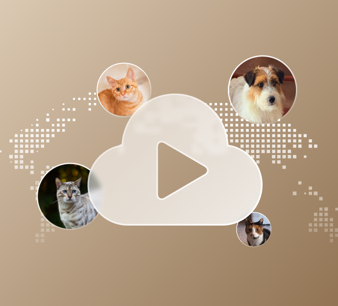 Petlibro PETLIBRO Banner mit Cloud-Play-Symbol, Fotos von Katze und Haustier-Hund; Brunnen, Katzentoilette, automatischer Futterspender erwähnt