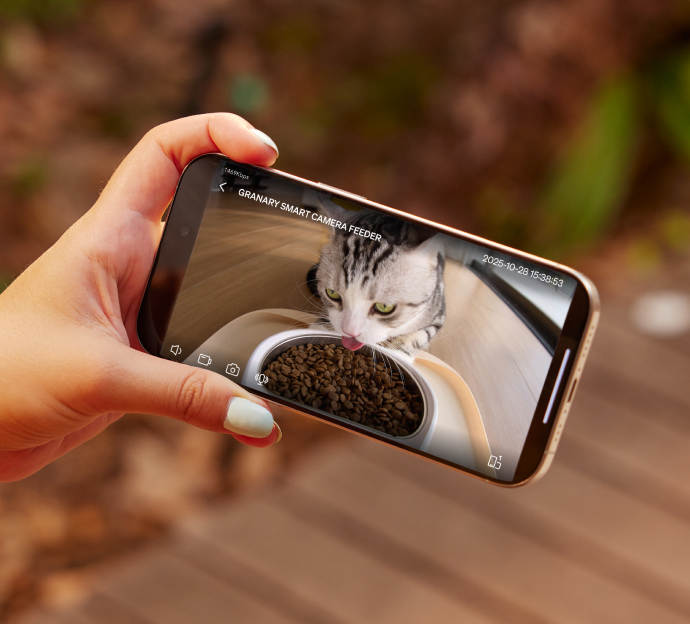 Petlibro PETLIBRO App zeigt Katze am automatischer Futterspender; Haustier-Fütterung, Brunnen und Katzentoilette erwähnt