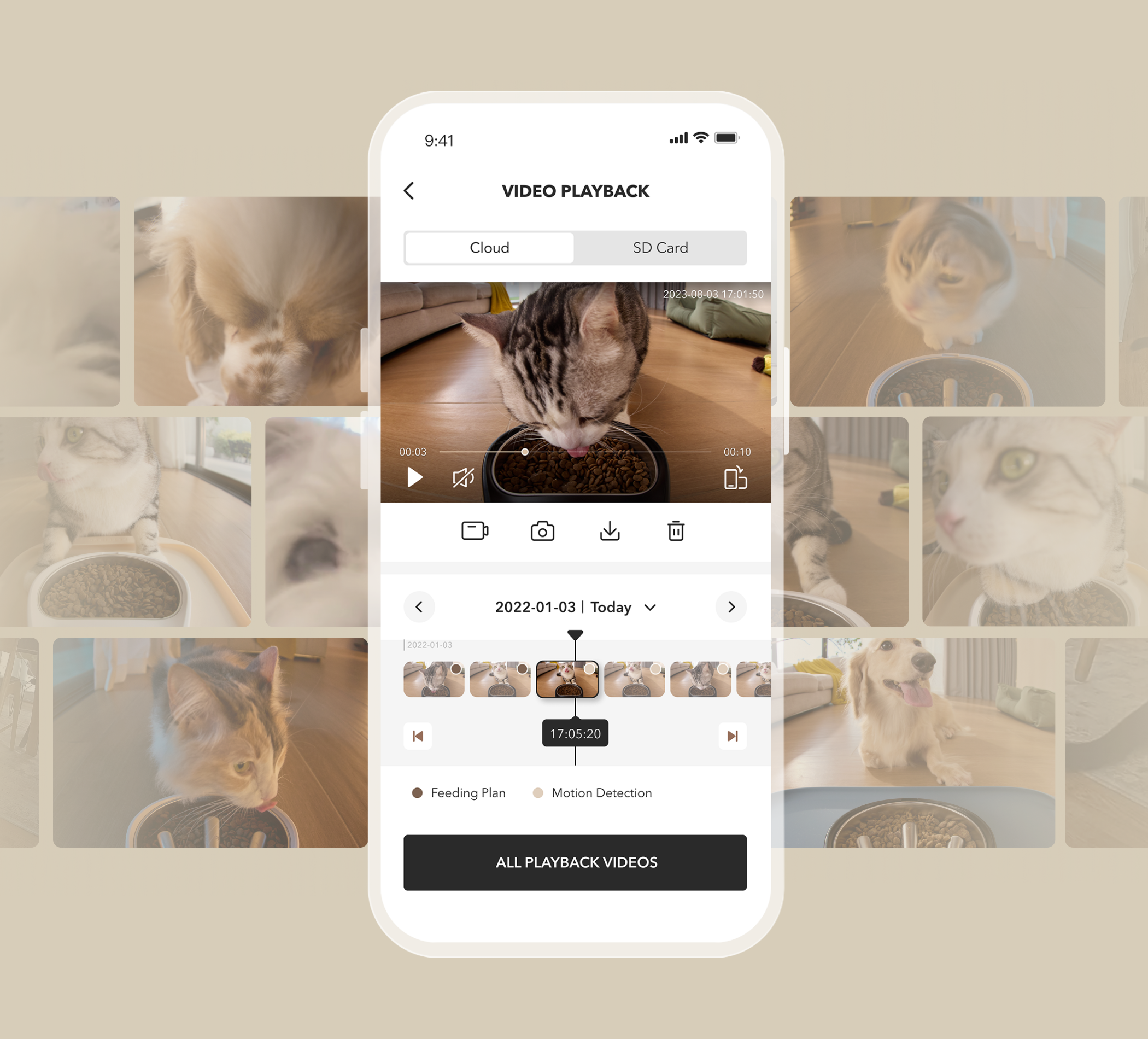 Petlibro PETLIBRO App zeigt Katze am automatischer Futterspender; Haustier-Video, Brunnen und Katzentoilette im Hintergrund-Grid.