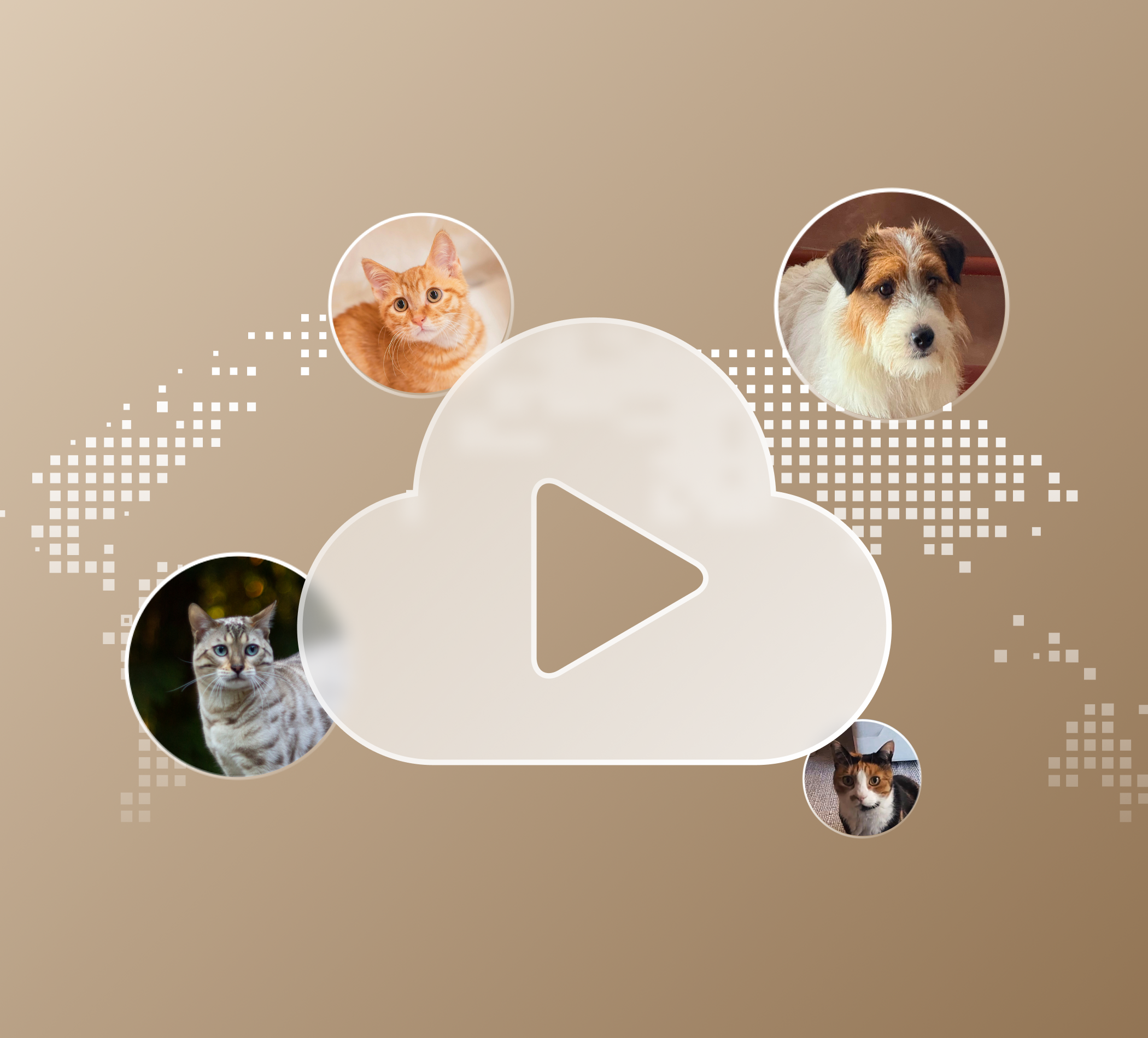 Petlibro PETLIBRO Banner mit Play-Icon, Katze und Hund; Brunnen, Katzentoilette und automatischer Futterspender fürs Haustier beworben